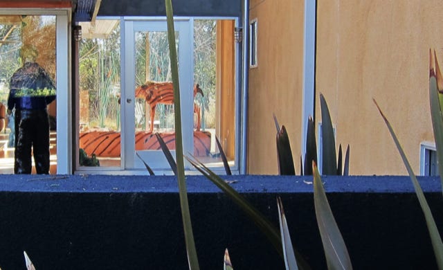 loooking towards the front door